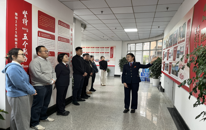 虹口區稅務局承辦2025年上海市基層團組織交流展示總結互評會