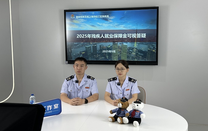 松江区税务局开展残疾人就业保障金申报缴费可视答疑