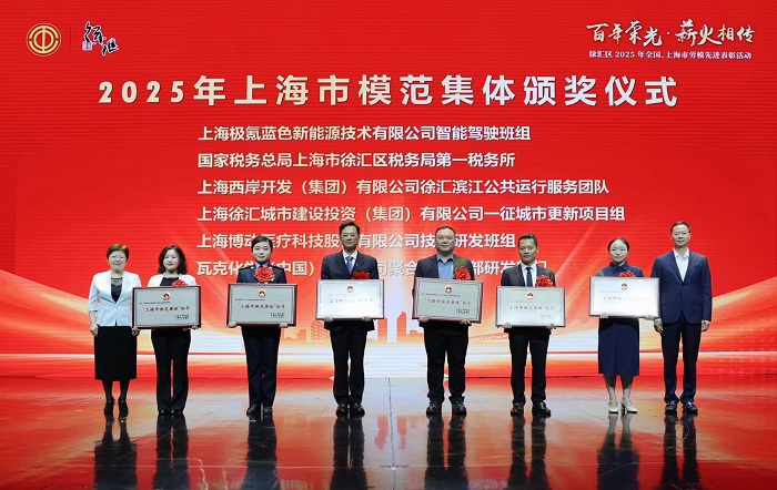徐汇区税务局第一税务所获评上海市模范集体