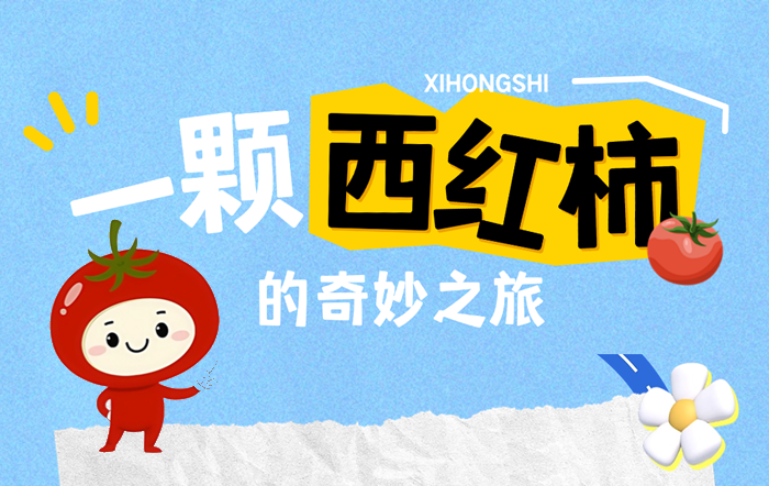 图解税收：一颗西红柿的奇妙之旅