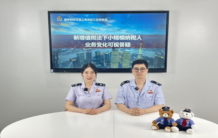 松江區稅務局開展新增值稅法下小規模納稅人業務變化可視答疑