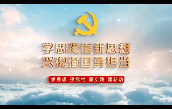 “學思踐悟新思想·興稅強國勇擔當”（八）：調查研究摸實情 集智聚力解難題