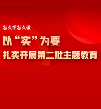 怎麼學怎麼做 以“實”為要，紮實開展第二批主題教育